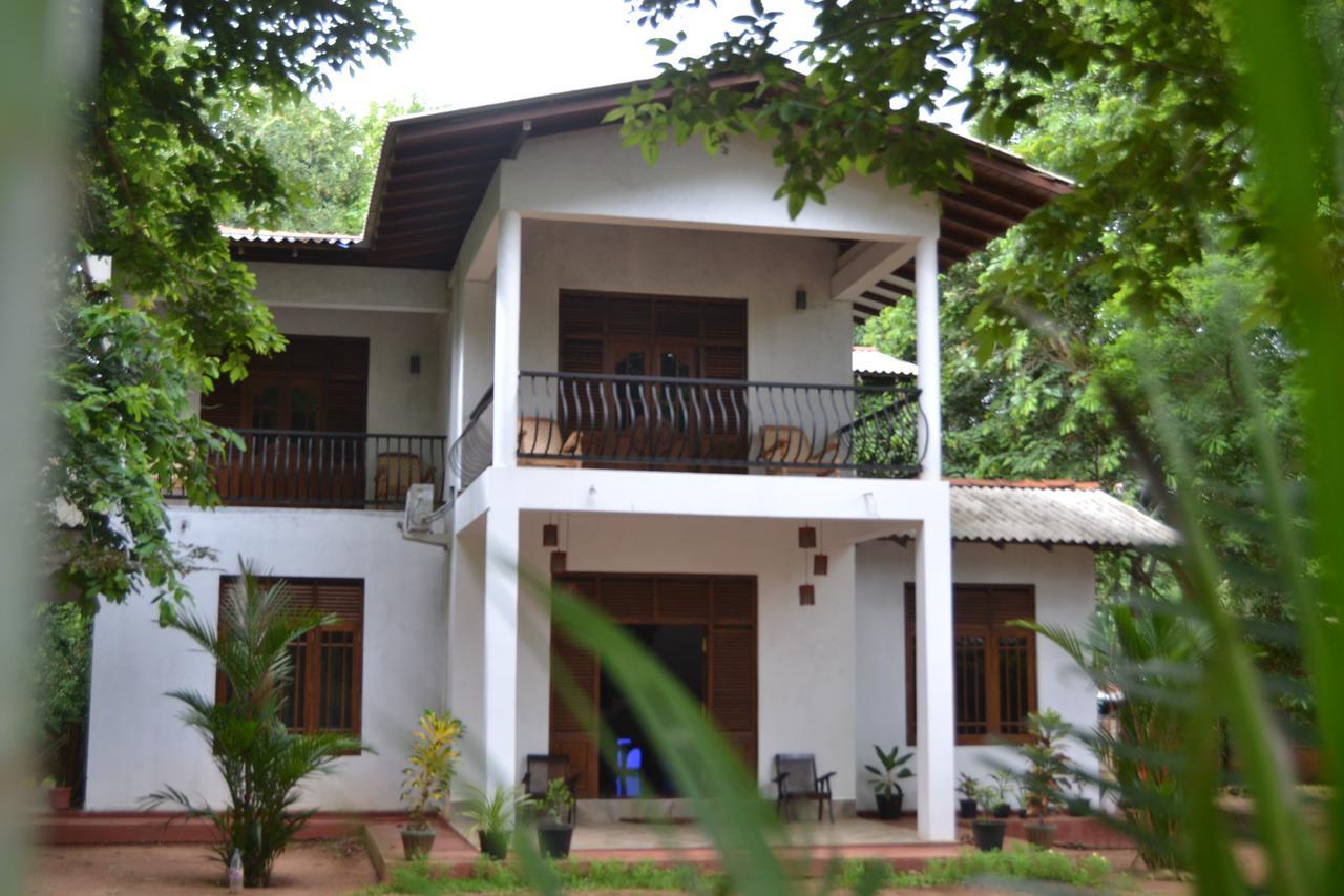 Nice To Meet Home Stay Habarana Ngoại thất bức ảnh