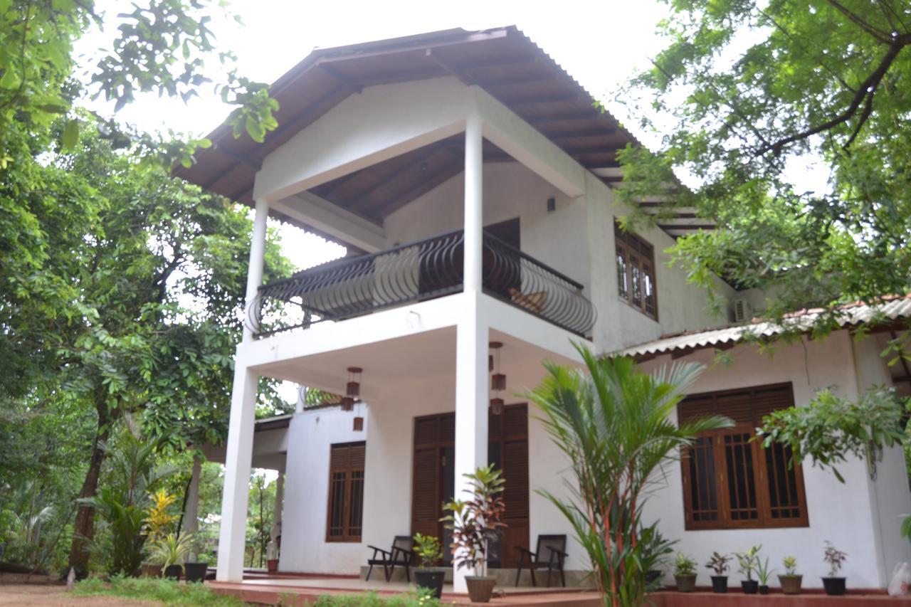 Nice To Meet Home Stay Habarana Ngoại thất bức ảnh