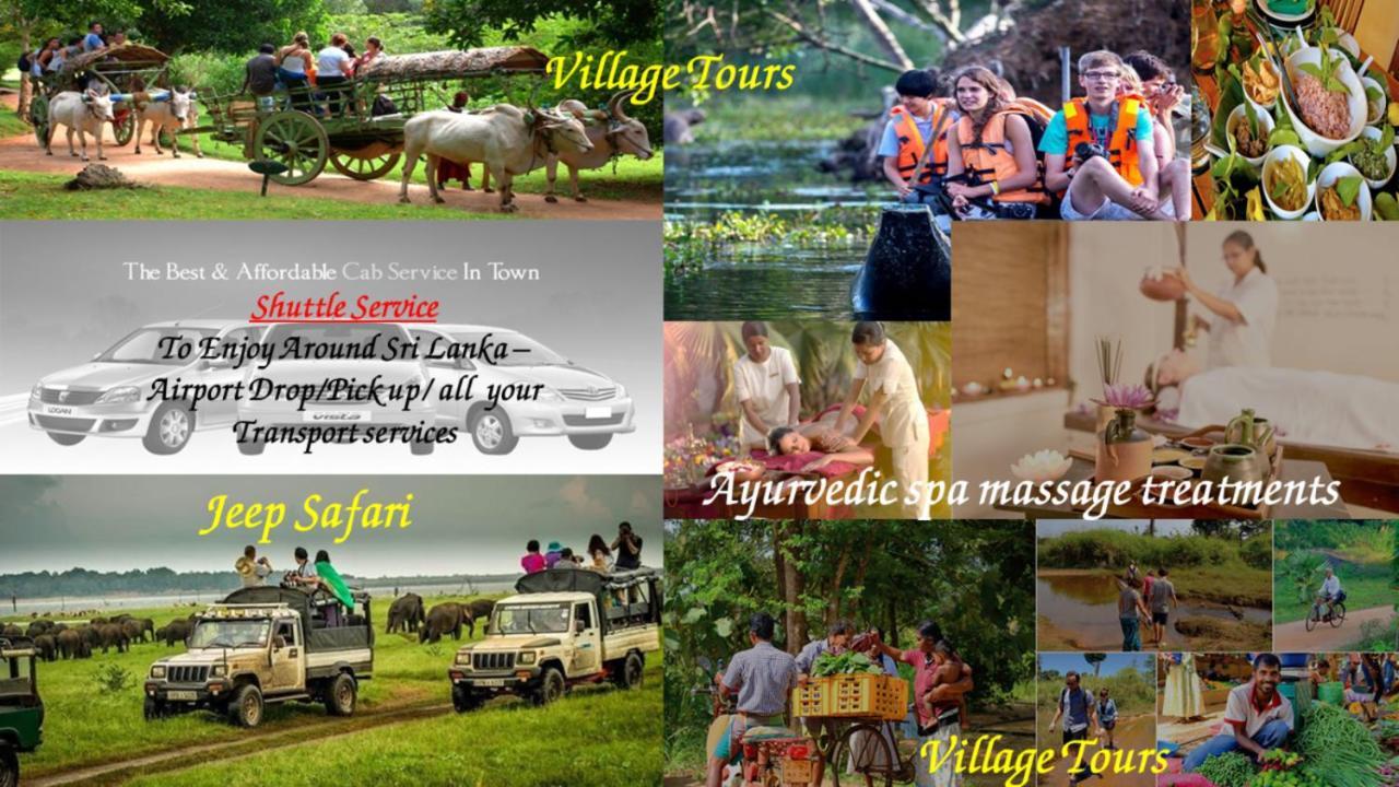 Nice To Meet Home Stay Habarana Ngoại thất bức ảnh